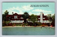 Lake Harmony PA-Pennsylvania, Split Rock Lodge, Beach, Vintage Postcard picture