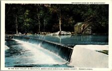 1918. EARLVILLE, PA. WEIDNER'S DAM. POSTCARD DB35 picture