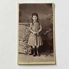 Antique CDV Photograph Adorable Fashionable Little Girl Long Curls Coldwater MI picture
