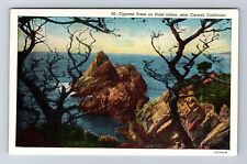 Carmel CA-California, Cypress Trees On Point Lobos, Antique, Vintage Postcard picture