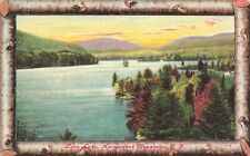 LP72 Loon Lake  Adirondack Mountains New York Postcard picture