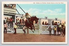 Postcard Riding An Outlaw Rodeo Scene Of The Far West picture