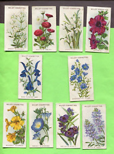 1913 W.D. & H.O. WILLS CIGARETTES OLD ENGLISH GARDEN FLOWER 2ND 10 TOBACCO CARDS picture