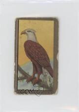 1910 ATC Bird Series T42 Mecca Factory 30 American Eagle 1t3 picture