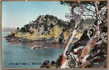 CARMEL, California Hand-Colored RPPC Postcard Coast Scene Fred Martin Photo 5168 picture