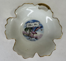 Vintage FLORIDA State Retro SOUVENIR Mini PLATE Made in Japan picture