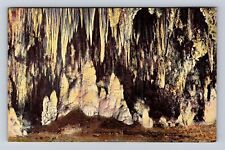 Carlsbad Cavern National Park, Kings Palace, Series #23311, Vintage Postcard picture