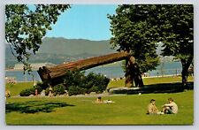 Vancouver BC Lumbermen's Arch Stanley Park British Columbia Vtg Postcard View picture