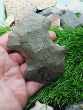 Authentic Native American Indian Arrowhead Artifacts Chipped Axe Scott Co. Ar picture