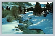 Vail CO-Colorado, Winter Morning, Grove Creek, Vintage Postcard picture