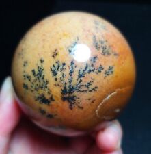 TOP 223G Natural Dendritic Agate Stone Crystal Sphere Ball Collection QQ26 picture