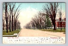 Canandaigua NY-New York, Residential Area Upper Main St. Vintage c1907 Postcard picture