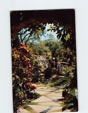 Postcard Through the Rustic Arch Tropical Hobbyland Miami Florida USA picture