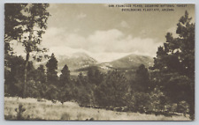 Postcard San Francisco Peaks, Coconino National Forest, Over Flagstaff A499 picture