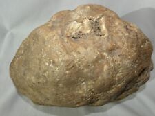 Giant Huge Large Unopened KY Geode 19.4lb Rare Crystal Quartz 11in Unique Gift picture