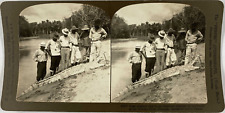 White, Stereo, Panama, Wandea River, Huge Alligator Shot by the American Enginee picture