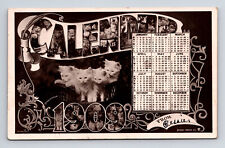 1909 Large Letter Cat Calendar Unadilla Nebraska NE Rotary Press Postcard picture
