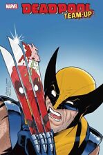 Deadpool Team-up #1 Marvel Comics Amanda Conner Variant Cover F PRESALE 8/28/24 picture
