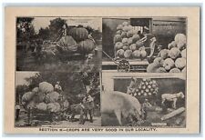 c1910's Section K Crops Are Very Good In Locality Multiview Antique Postcard picture
