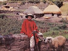 Vintage Postcard, ECUADOR, 2004, Traditional Village & Sheep Herder, To OH picture