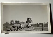 1950s SHELTIE DOG with Woman sitting on LOGS Firewood vintage Photo Snapshot picture