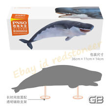 PNSO Livyatan Melvillei Whale Painted Resin PVC GK Limited Figure Model In Stock picture