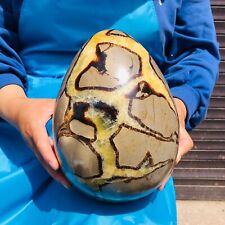 16.19LB Natural Turtle Back Stone Egg Shape Dragon Crystal Crack Gem Reiki 1164 picture