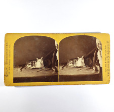 1871 Chicago Fire Stereoview ~ Cat Rescue From Post Office Ruins Photograph Shaw picture