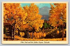 Pikes Peak & The Golden Aspens of Colorado Vintage Postcard 0831 picture