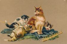 Four Cats and Rake PFB Postcard - 1909 picture