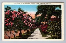 St Petersburg FL-Florida, Oleanders Vintage Souvenir Postcard picture