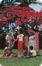 Honolulu HI Hawaii, Lei Seller Tourists Helpers Poinciana Tree, Vintage Postcard picture