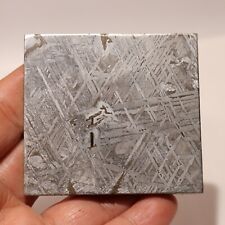 147g  Muonionalusta meteorite part slice  A196 picture