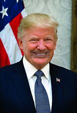 PRESIDENT DONALD TRUMP OFFICIAL WHITE HOUSE PORTRAIT 13X19 PHOTO POSTER picture