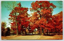 Postcard Beautiful Autumn Landscape Posted 1956 picture