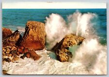 Postcard Italy Riviera Ligure c1980 3E picture
