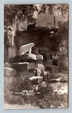 RPPC Brookfield IL Polar Bear Chicago Zoological Park Illinois Vintage Postcard picture