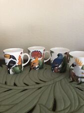 STECHCOL BONE CHINA 4  COFFEE MUGS PARROT TROPICAL NEW picture