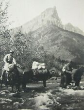 RPPC Pack Horses Crossing Ross Creek Montana (?) Real Photo Postcard 1910's picture