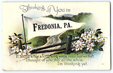 Fredonia Pennsylvania Pennant Postcard postmarked 1919 picture