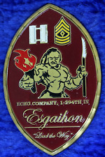 US Army Echo Co 1st BN 294th Infantry Afghanistan Task Guam Challenge Coin PT-2B picture