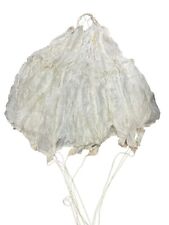 WW2 Canadian Armed Forces Parachute Canopy picture