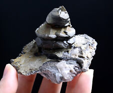 109g Natural Pyramidal Calcite & Pyrite Symbiotic Mineral Specimens/Hubei China picture