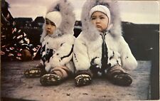 Fairbanks Alaska Eskimo Baby Twins Postcard picture