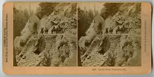Yosemite California, Horse Riders, Vintage Original Stereoview Photo 1894 picture