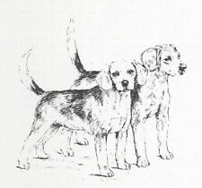 Beagle #2 - CUSTOM MATTED - 1963 Vintage Dog Art Print 0507 CLD picture