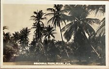 RPPC Miami Florida Brickell Park Palm Trees Real Photo Postcard c1930 picture