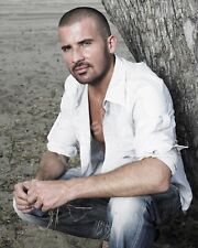 Dominic Purcell 8X10 Glossy Photo Picture picture