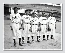 Washington Grays Negro League Team Baseball Players c1947, Vintage Photo Reprint picture
