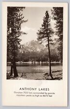 Anthony Lakes Oregon, Scenic View, Vintage RPPC Real Photo Postcard picture